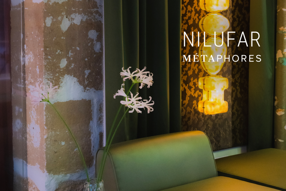 news.nilufar-x-metaphores.name